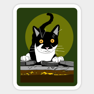 Cute Tuxedo Cat is up to mischief  Copyright TeAnne Sticker